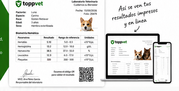 Ejemplo de resultados de Toppvet